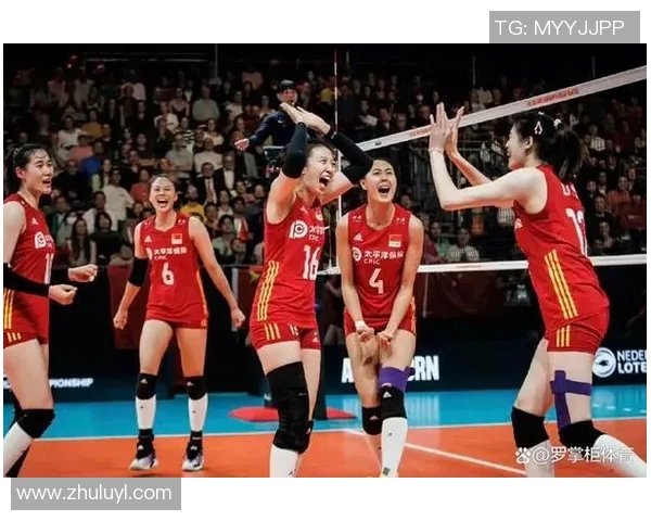 上海排球队的默契配合与战术分析探讨 上海排球队的默契配合与战术分析探讨