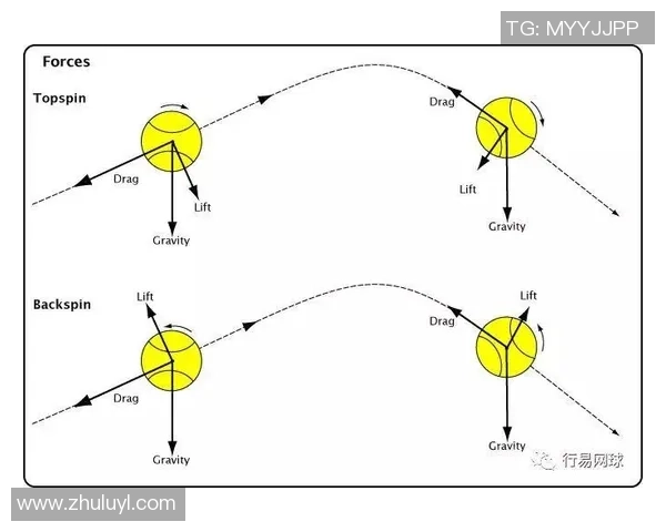 上海网球队技术表现深度分析与发展趋势探讨 上海网球队技术表现深度分析与发展趋势探讨