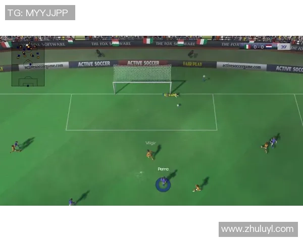 足球本菖蒲的魅力与精神在绿茵场上的传承与发展